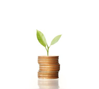  Madeni paralar borsa grafiği