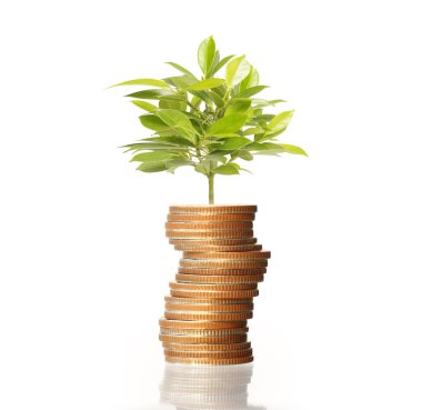  Madeni paralar borsa grafiği