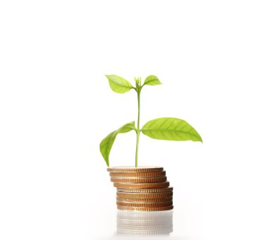  Madeni paralar borsa grafiği