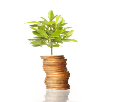  Madeni paralar borsa grafiği