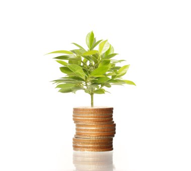  Madeni paralar borsa grafiği