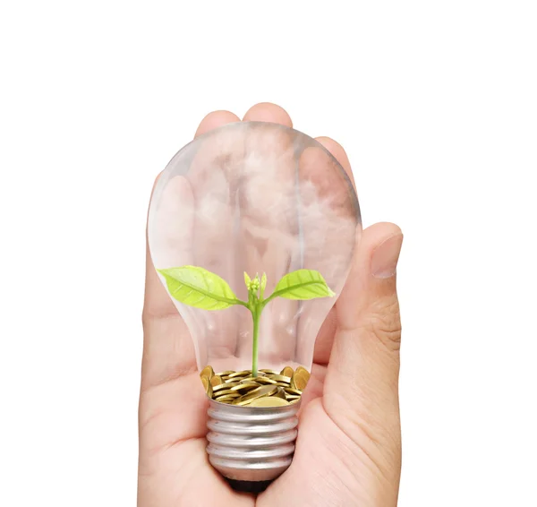 Lampadina a risparmio energetico, idea lampadina creativa in mano — Foto Stock