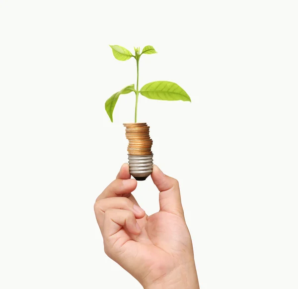 Energiebesparende lamp, Creative gloeilamp idee in de hand — Stockfoto