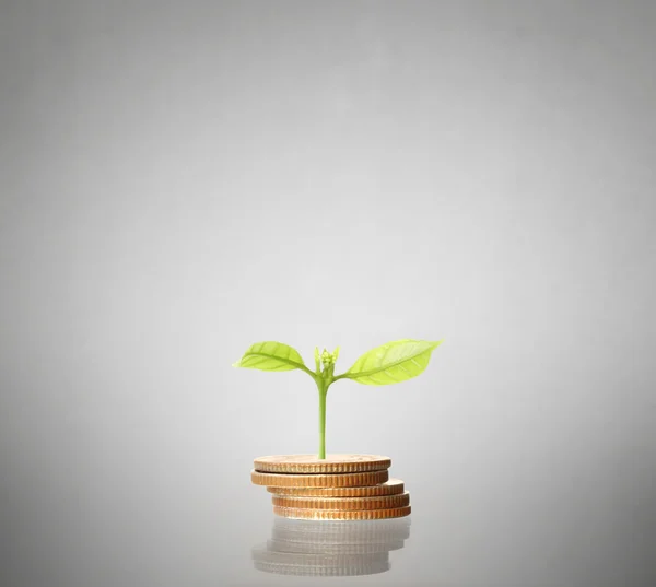 Monedas gráfico mercado de valores — Foto de Stock