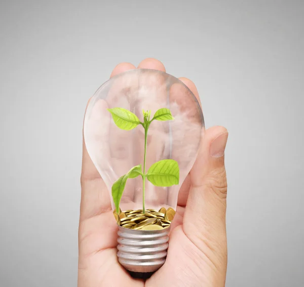 Energisparande lampa, Creative lampa idé i hand — Stockfoto
