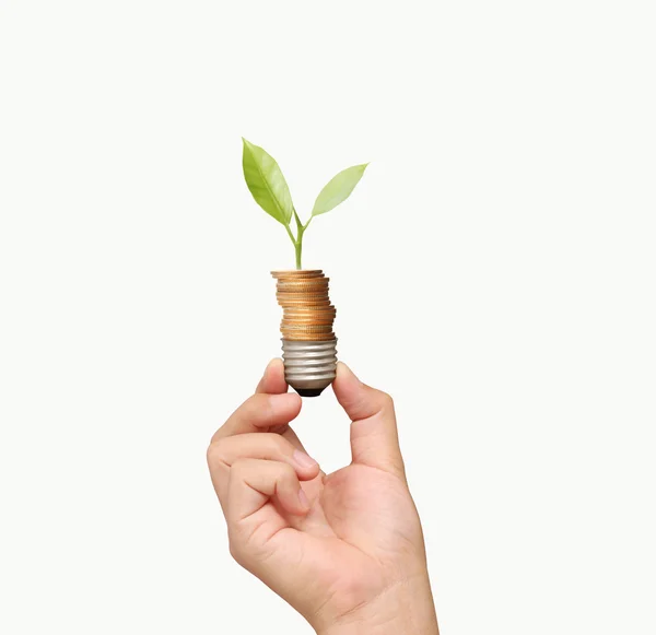 Energiebesparende lamp, Creative gloeilamp idee in de hand — Stockfoto