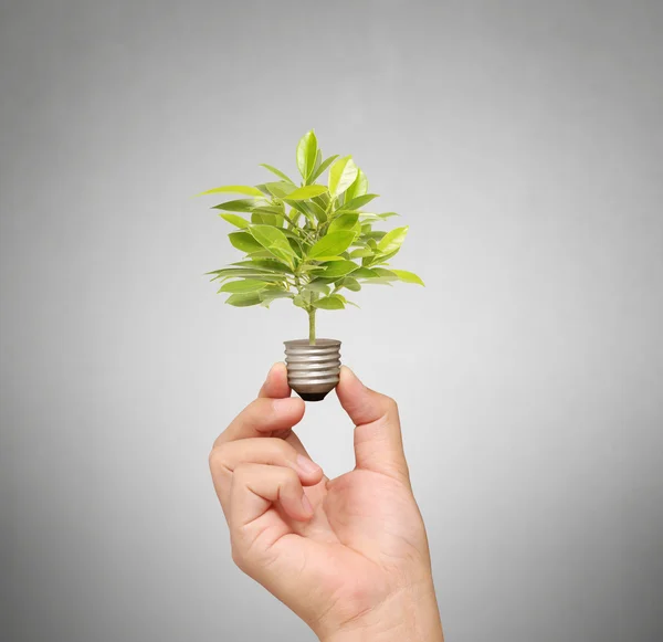 Energeticky úsporné žárovky, kreativní myšlenka žárovku v ruce — Stock fotografie