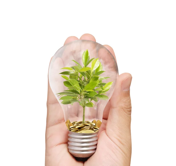 Lâmpada de poupança de energia, Criativa ideia lâmpada na mão — Fotografia de Stock