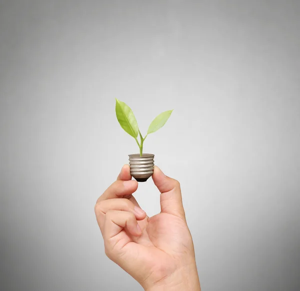 Energiesparlampe, kreative Glühbirnen-Idee in der Hand — Stockfoto