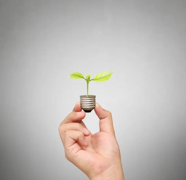 Energiesparlampe, kreative Glühbirnen-Idee in der Hand — Stockfoto