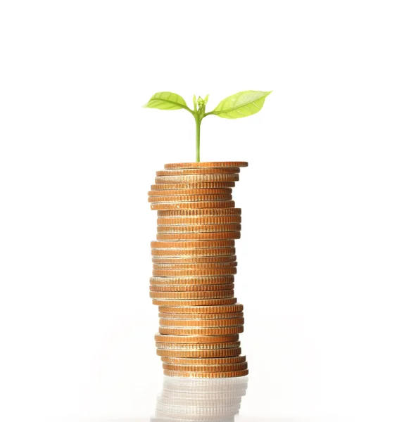 Monedas gráfico mercado de valores — Foto de Stock