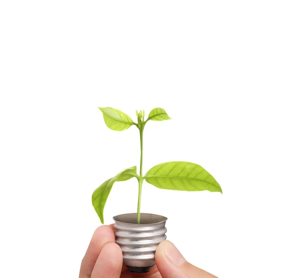 Energy saving light bulb, Creative light bulb idea in hand — Stock Photo, Image