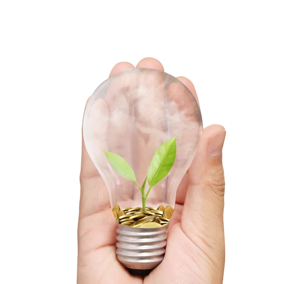 Energy saving light bulb, Creative light bulb idea in hand — Stock Photo, Image