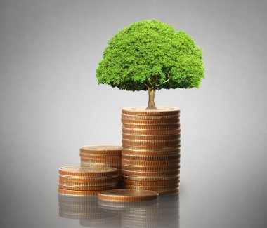  Madeni paralar borsa grafiği 