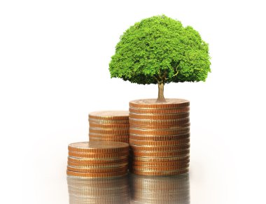  Madeni paralar borsa grafiği 