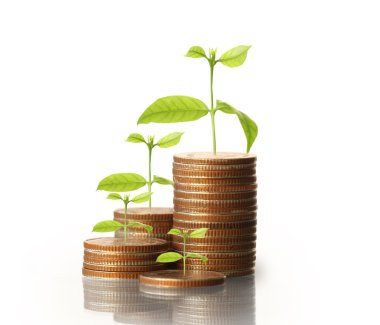  Madeni paralar borsa grafiği 