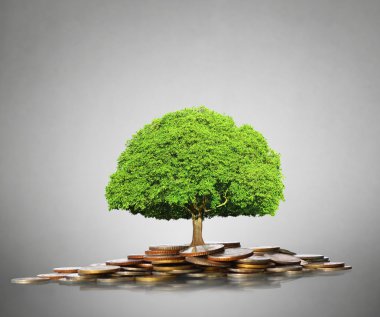 altın sikke üzerinde yeşil bitki 