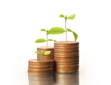  Madeni paralar borsa grafiği 