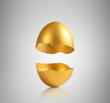 altın yumurta izole