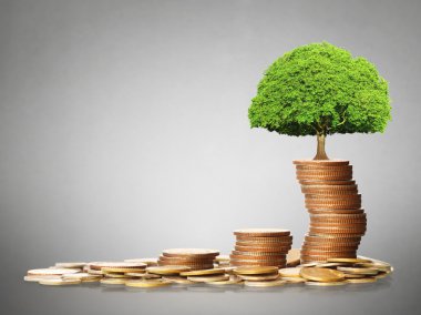 izole altın sikke yığını