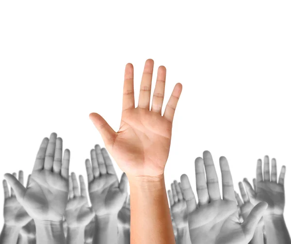 Closeup men and women raising hands — Stock Photo, Image