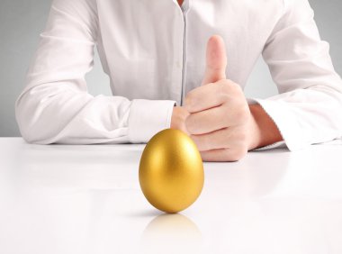 Altın yumurta holding