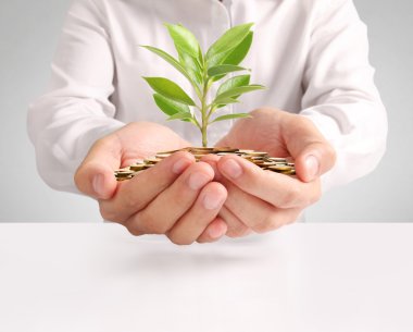 para sikke elinde büyüyen