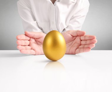 Altın yumurta holding