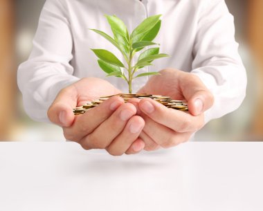 para sikke elinde büyüyen