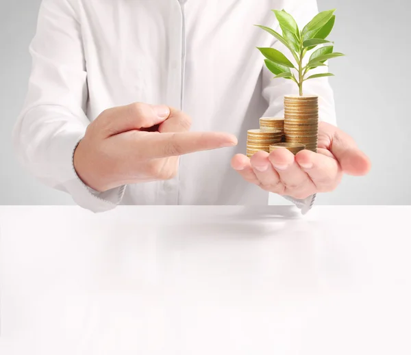 Geld groeit van munten in de hand — Stockfoto