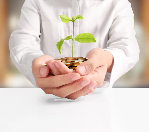 Geld wächst aus Münzen in der Hand — Stockfoto