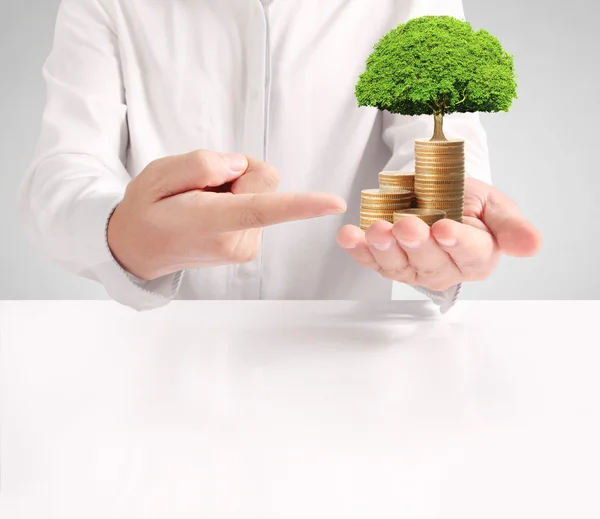 Money growing from coins in hand — Stock Photo, Image