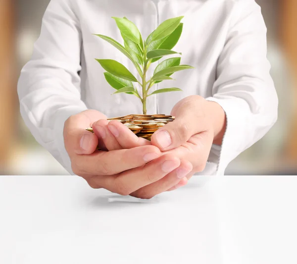 Geld wächst aus Münzen in der Hand — Stockfoto