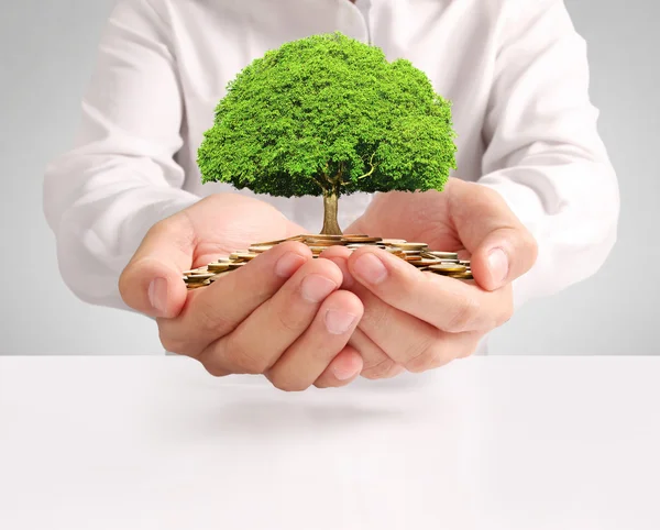 Money growing from coins in hand — Stock Photo, Image