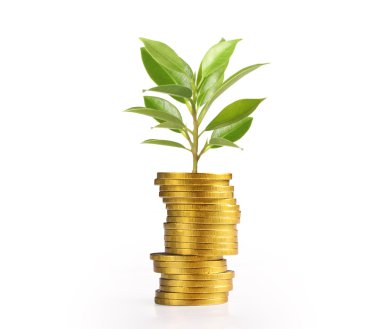 Sikke stok marke grafik