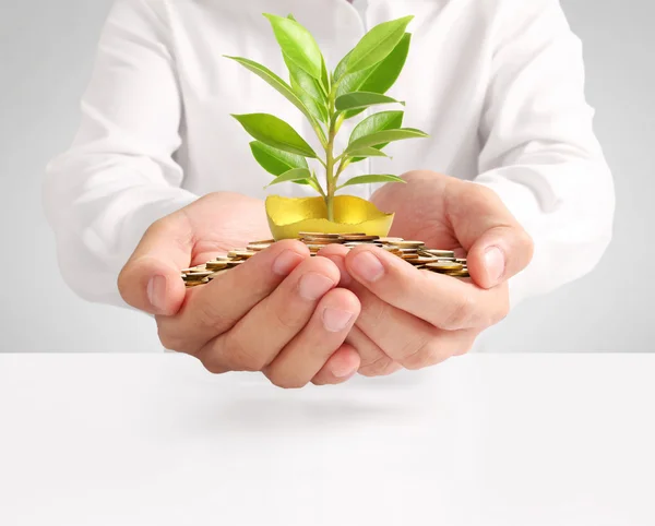 Holding of Golden Eggs — Stock Photo, Image