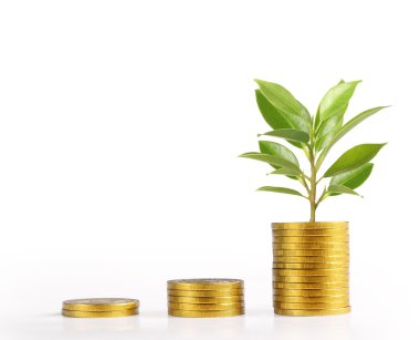 Sikke stok marke grafik