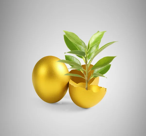 Golden a easter egg — Stock Photo, Image