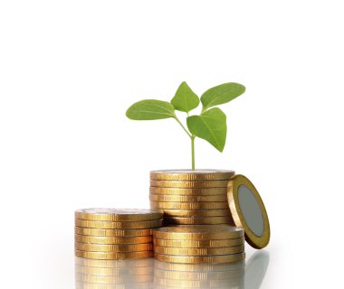  Madeni paralar borsa grafiği