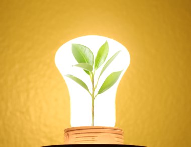 temiz enerji kavramı