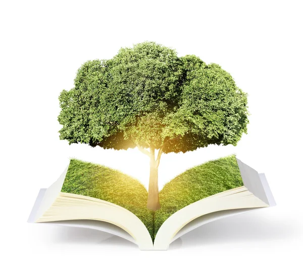 Libro abierto con árbol verde —  Fotos de Stock