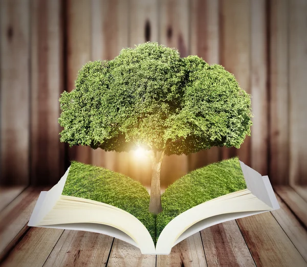 Libro aperto con albero verde — Foto Stock