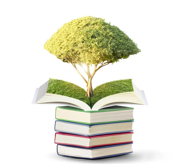 Open book with green tree — Stock Photo, Image