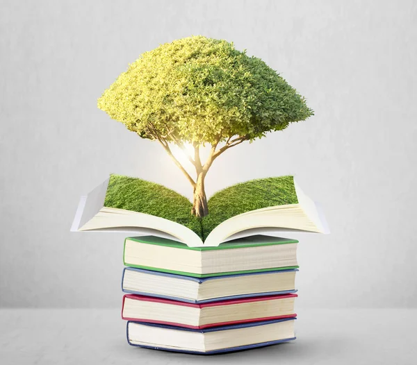 Libro abierto con árbol verde — Foto de Stock