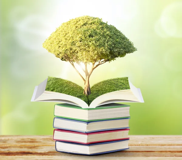 Yeşil ağaçlı açık kitap — Stok fotoğraf