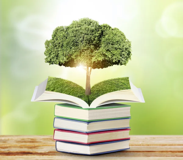 Libro aperto con albero verde — Foto Stock