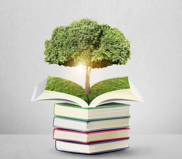 Открытая книга с зеленым деревом — стоковое фото