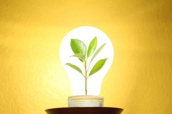 Concepto de energía limpia —  Fotos de Stock