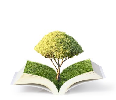 Yeşil ağaçlı açık kitap