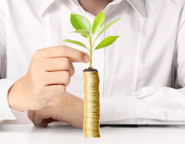 Hand som håller träd växer på gyllene mynt — Stockfoto